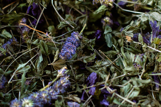 TOP 5 des plantes aux arômes surprenants