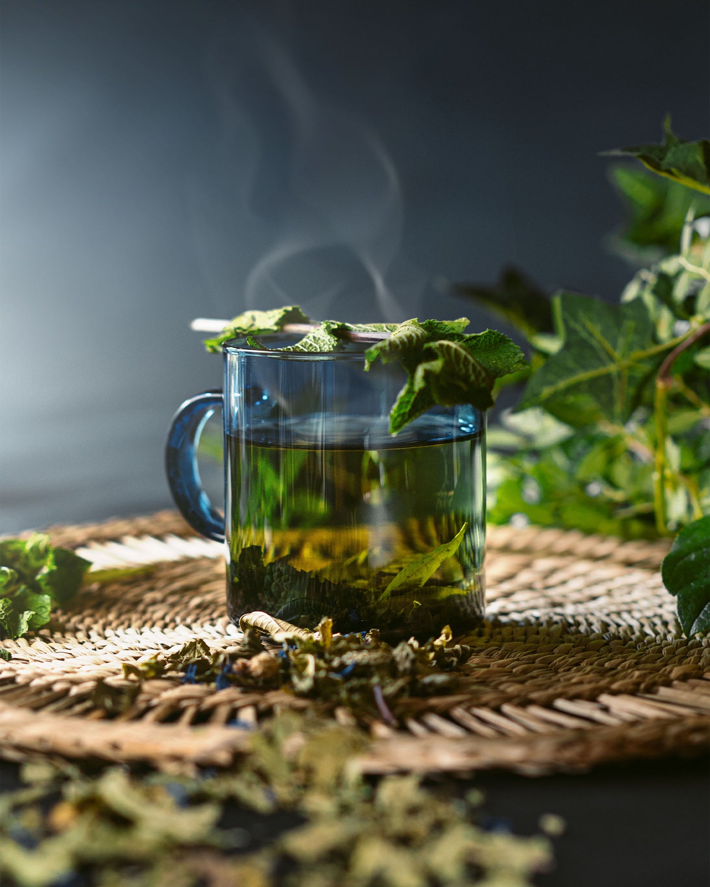 Menthe fraîche